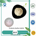 Versorgung Tier Ergänzung Probiotika Bacillus subtilis